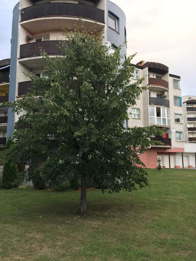 Apartment Tekelova 95M2 Eperjes Kültér fotó